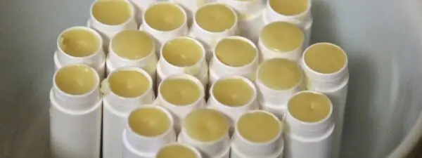 Bees wax lip balm