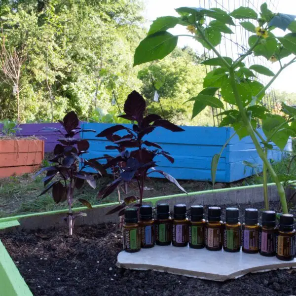 Essential Oils