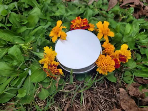 CBD Pain Salve