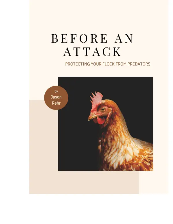 Before An Attack: Protecting Your Flock From Predators E-Book