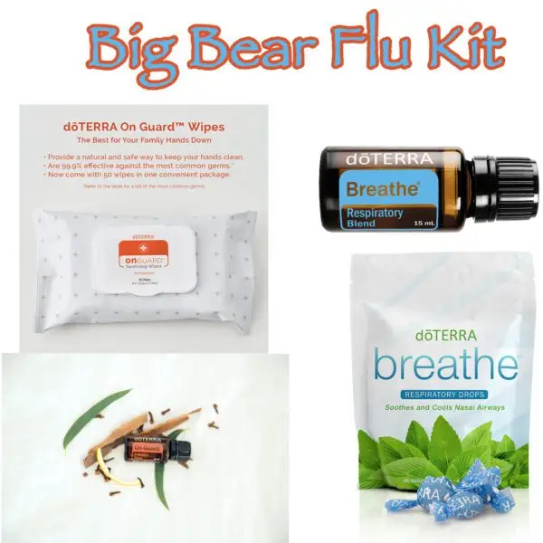 Big Bear Essential Oil Flu Kit