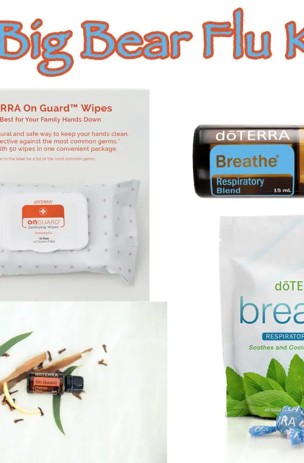 Big Bear Essential Oil Flu Kit